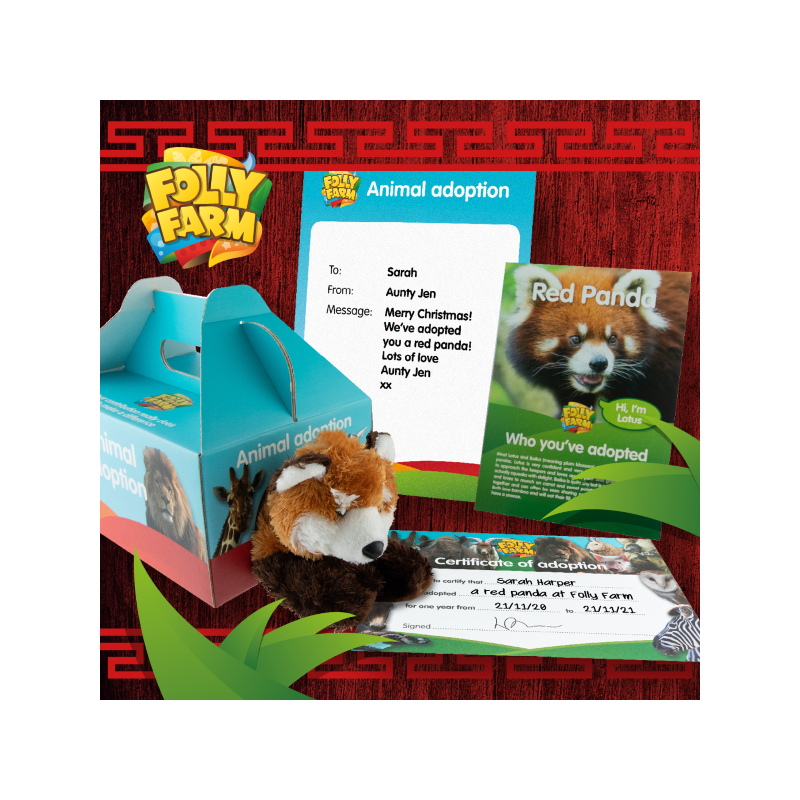 Red panda adoption gold