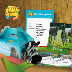 Zebra adoption silver