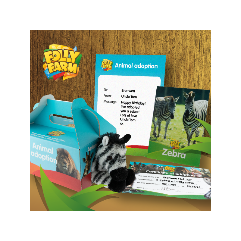 Zebra adoption silver