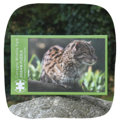 Wildlife Park jigsaw - Fishing Cat