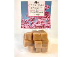 Beamish Town Travel Poster Fudge