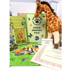 Giraffe Adoption Gift Box (inc. delivery)