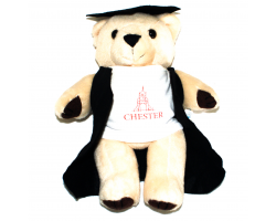 Chester Graduation Bear
