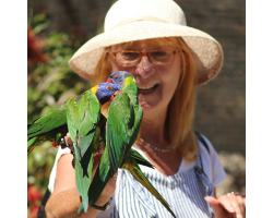 Lorikeet Donation