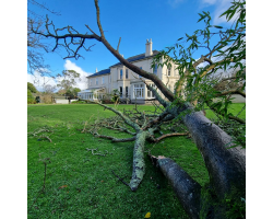 Damage from Storm Goretti