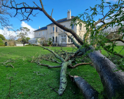 Damage from Storm Goretti