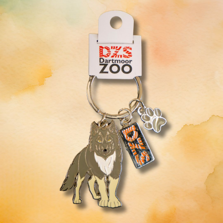 DZS Wolf Metal Keyring
