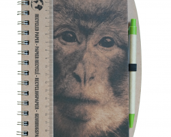 Monkey Forest Notebook