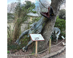 Damage from Storm Goretti