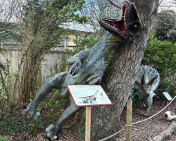 Damage from Storm Goretti