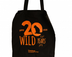 20 Wild Years Bundle
