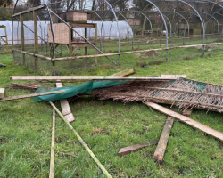 Damage from Storm Goretti