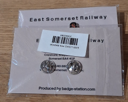 ESR STEAM Logo Pin Badge
