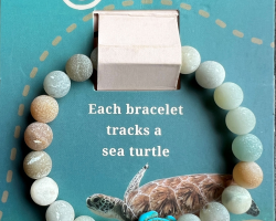 Sea Turtle Fahlo Bracelet