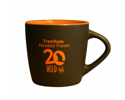 20 Wild Years Bundle