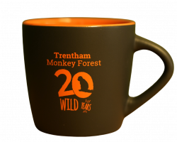 20 Wild Years Bundle