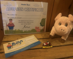 Pig Adoption Pack