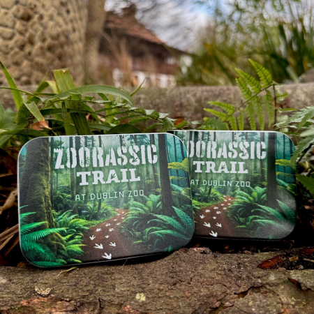 Zoorassic Trail Sweet Tin
