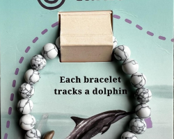 Dolphin Fahlo Tracking Bracelet