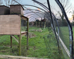 Damage from Storm Goretti