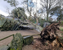 Damage from Storm Goretti