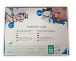 The Railway Crossing Puzzle