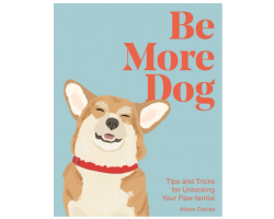 Royal Corgi Hamper with Two Admissions Tickets