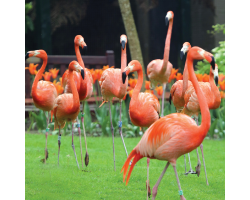 Flamingos Garden Room - Bigger Donation