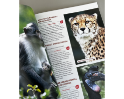 Dublin Zoo guide book with okapi on the cover