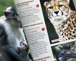 Dublin Zoo Guide Book