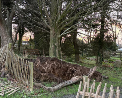 Damage from Storm Goretti