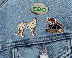 3 Pin Set in Presentation Box