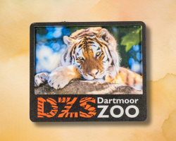 3D Tiger Wooden Magnet