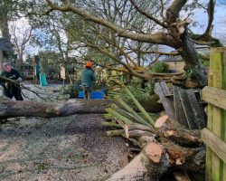 Damage from Storm Goretti