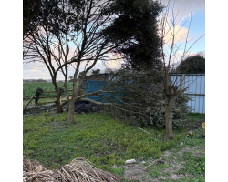 Damage from Storm Goretti