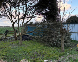 Damage from Storm Goretti