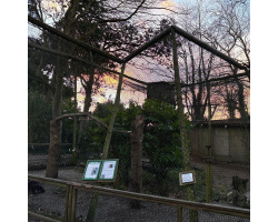 Damage from Storm Goretti