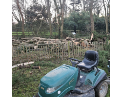 Damage from Storm Goretti