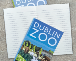 Savannah Design Copybook