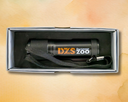 DZS Metal Torch