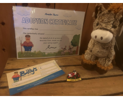 Donkey Adoption Pack