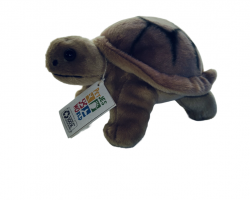 Petjes Tortoise 22cm