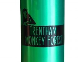 Monkey Forest Water Bottle (Green)