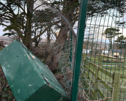 Damage from Storm Goretti