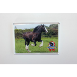 Cotebrook Fridge Magnet