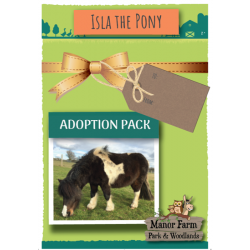 Isla the Pony Adoption