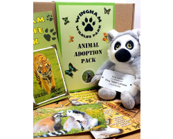 Ring-tailed Lemur Adoption Gift Box (inc. delivery)
