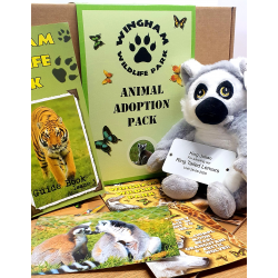 Ring-tailed Lemur Adoption Gift Box (inc. delivery)