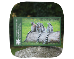 Wildlife Park jigsaw - Lemur