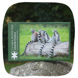 Wildlife Park jigsaw - Lemur